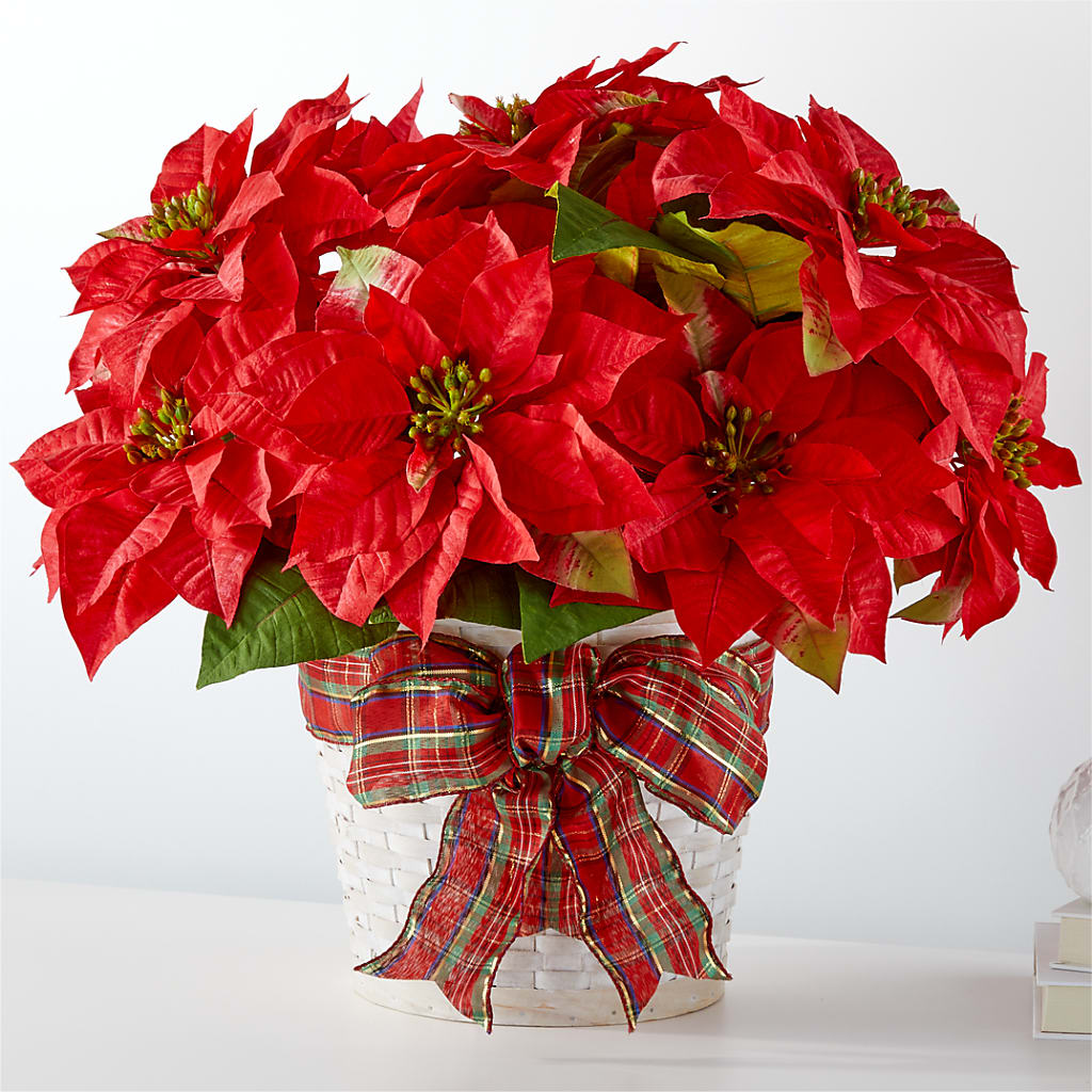 Happiest Holidays Poinsettia – MC SHANES FLORIST & GREENHOUSE INC, Belle Vernon PA