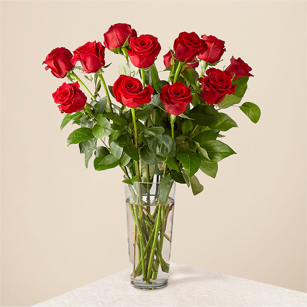 Long Stem Red Rose Bouquet – MC SHANES FLORIST & GREENHOUSE INC, Belle Vernon PA