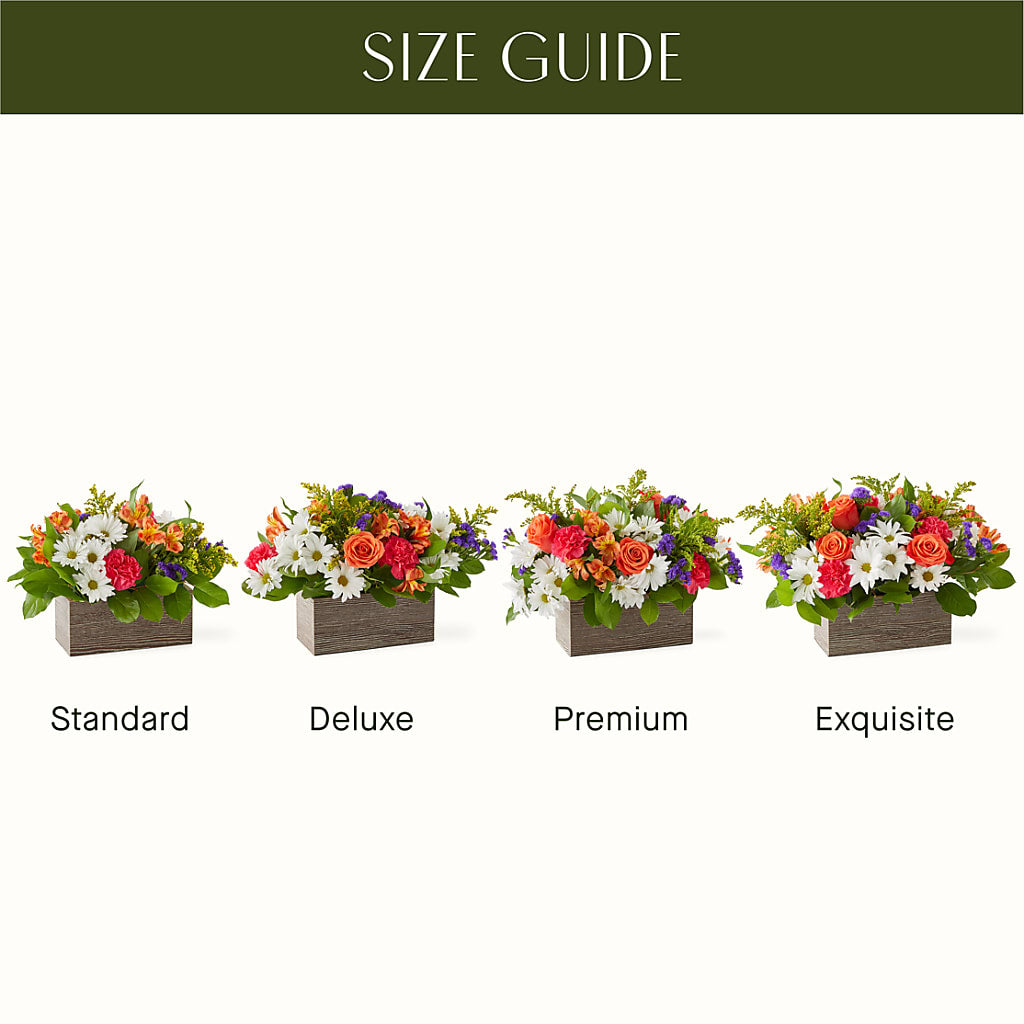Oopsie Daisy Box Bouquet – MC SHANES FLORIST & GREENHOUSE INC, Belle Vernon PA