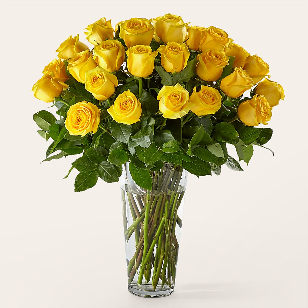 Long Stem Yellow Rose Bouquet – MC SHANES FLORIST & GREENHOUSE INC, Belle Vernon PA