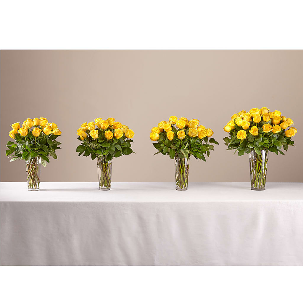 Long Stem Yellow Rose Bouquet – MC SHANES FLORIST & GREENHOUSE INC, Belle Vernon PA