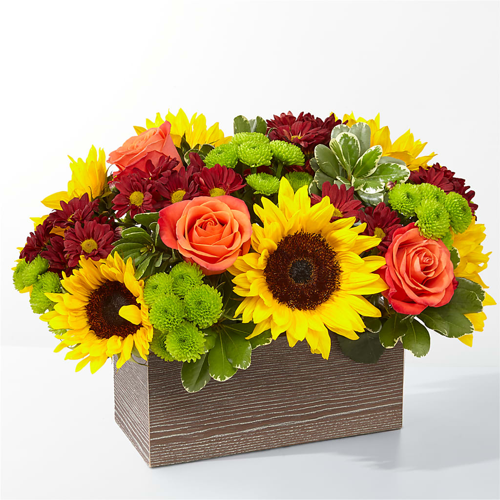 Happy Harvest Garden – MC SHANES FLORIST & GREENHOUSE INC, Belle Vernon PA
