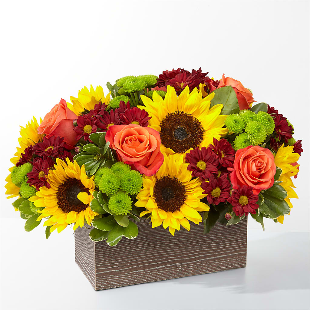 Happy Harvest Garden – MC SHANES FLORIST & GREENHOUSE INC, Belle Vernon PA