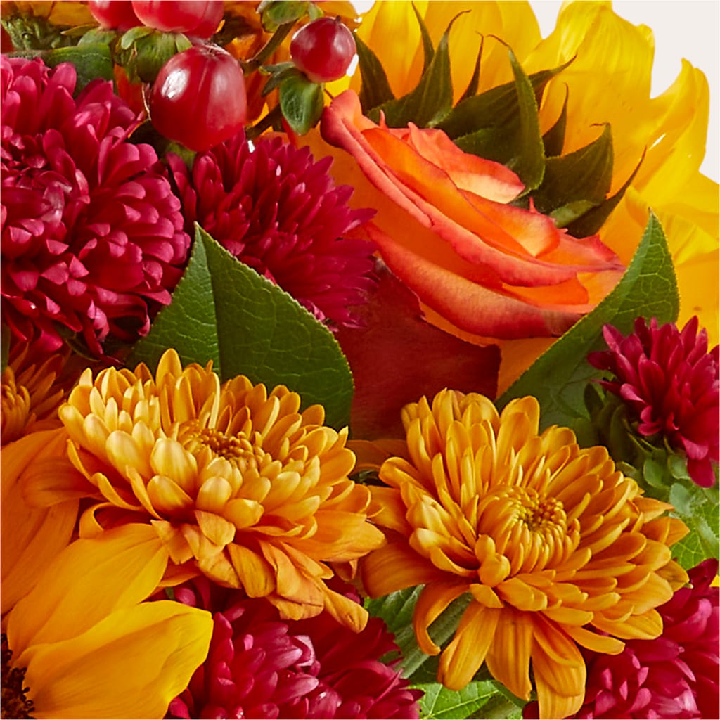 Sweater Season - A Florist Original – MC SHANES FLORIST & GREENHOUSE INC, Belle Vernon PA