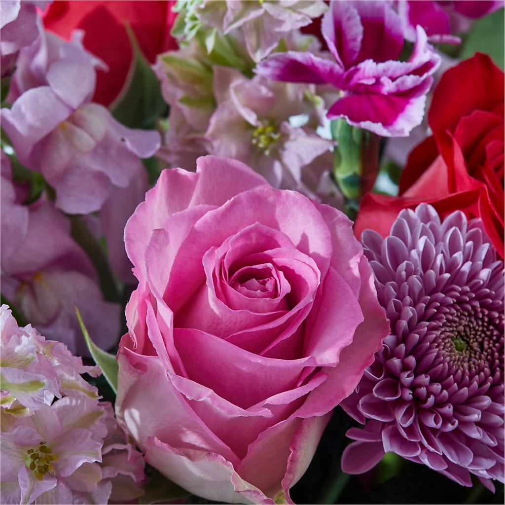 Better Together - A Luxury Florist Original – MC SHANES FLORIST & GREENHOUSE INC, Belle Vernon PA