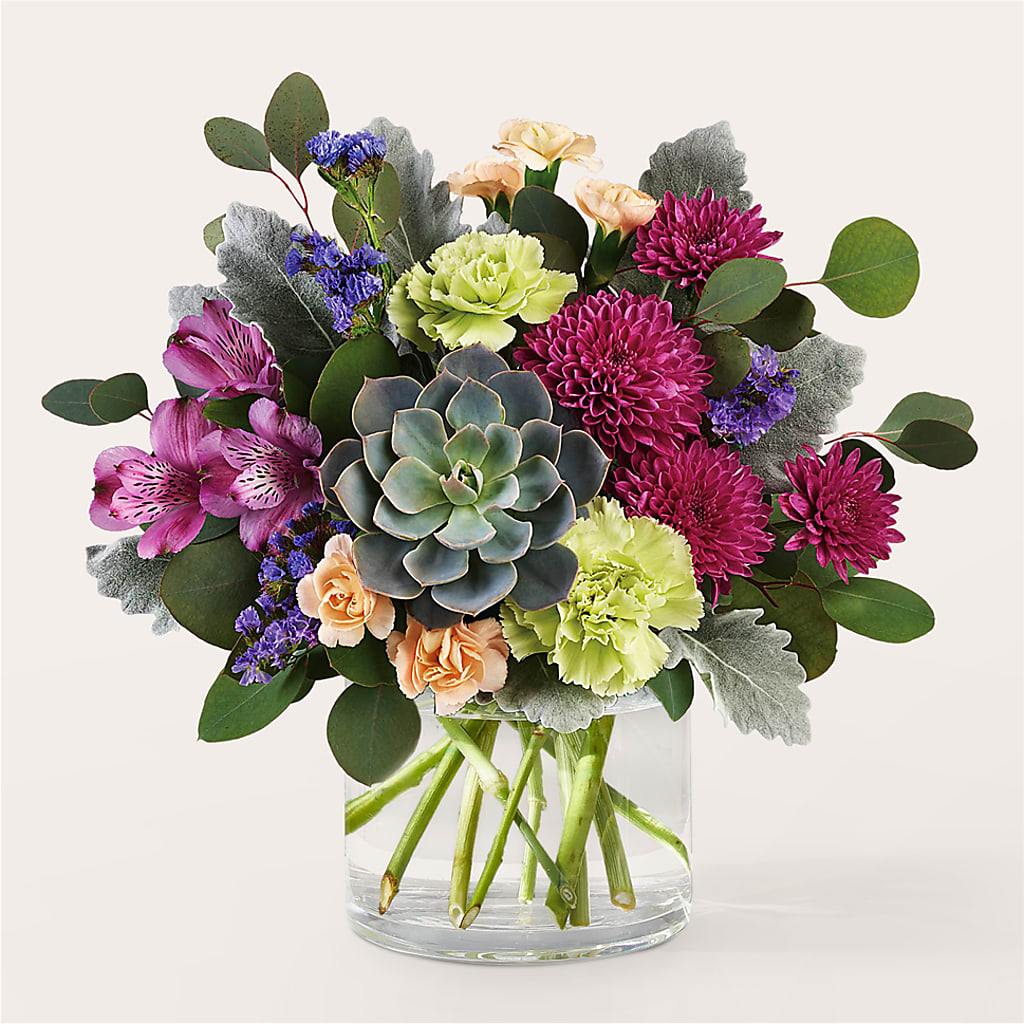 Botanical Dream Bouquet – MC SHANES FLORIST & GREENHOUSE INC, Belle Vernon PA
