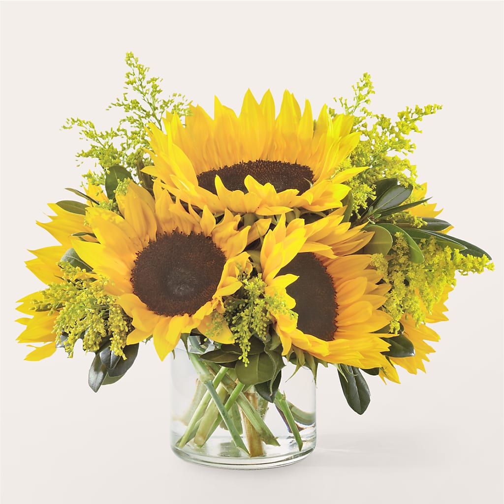 Beaming Sunflower Bouquet – MC SHANES FLORIST & GREENHOUSE INC, Belle Vernon PA