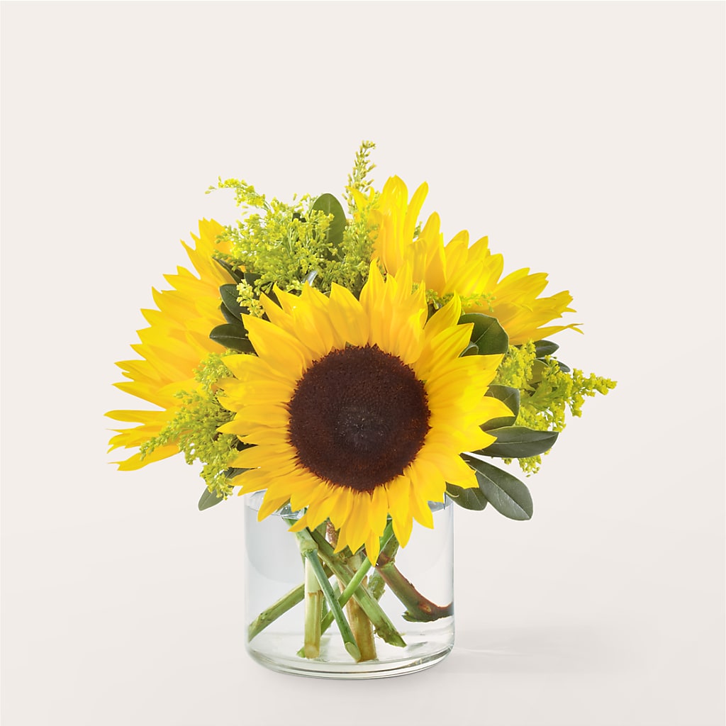 Beaming Sunflower Bouquet – MC SHANES FLORIST & GREENHOUSE INC, Belle Vernon PA