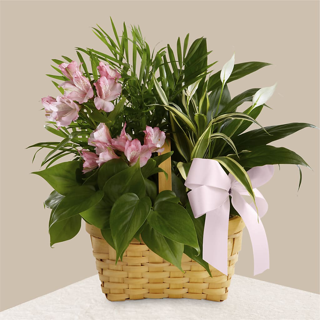 Living Spirit Dishgarden – MC SHANES FLORIST & GREENHOUSE INC, Belle Vernon PA