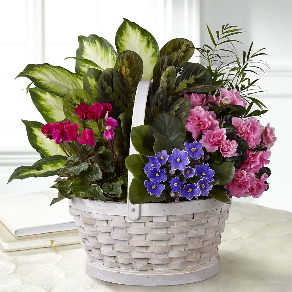Peaceful Garden Planter – MC SHANES FLORIST & GREENHOUSE INC, Belle Vernon PA