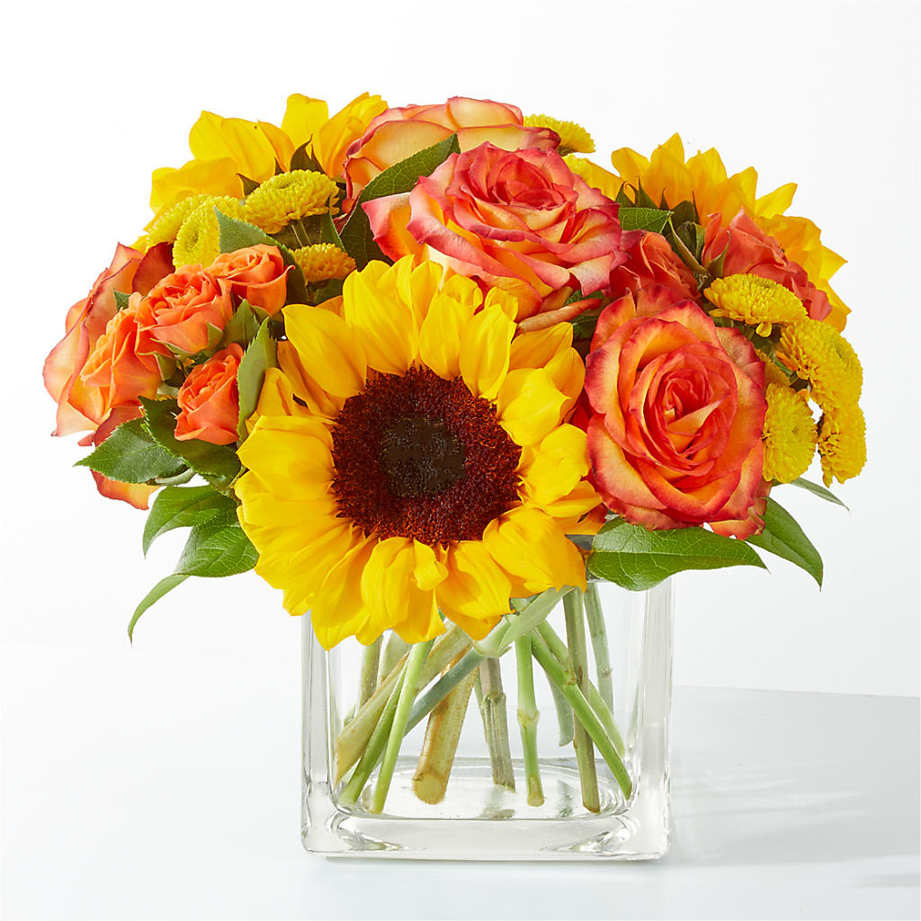 Picnic in the Park Bouquet – MC SHANES FLORIST & GREENHOUSE INC, Belle Vernon PA