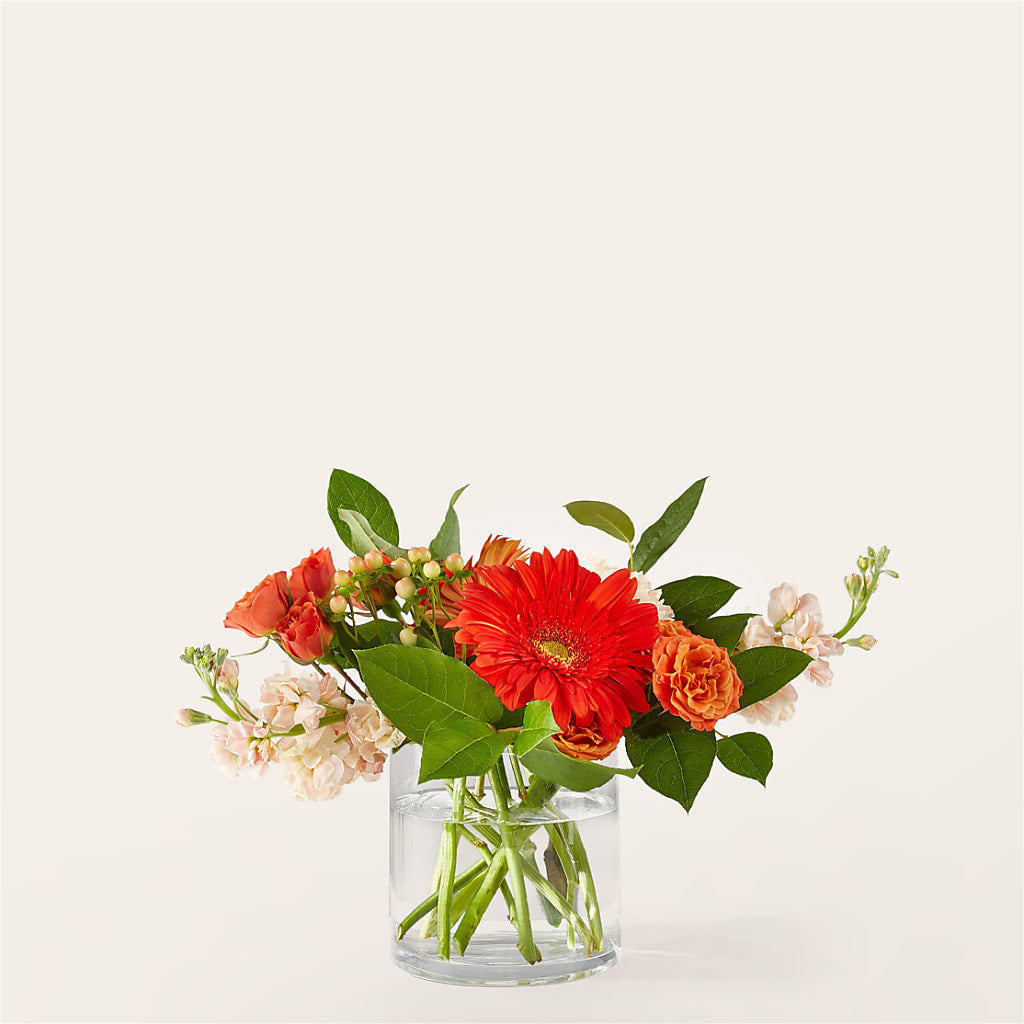 Paloma Please Bouquet – MC SHANES FLORIST & GREENHOUSE INC, Belle Vernon PA