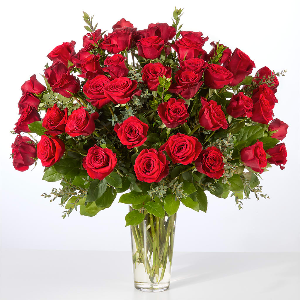 Forever Yours Fifty Stem Red Rose Bouquet – MC SHANES FLORIST & GREENHOUSE INC, Belle Vernon PA