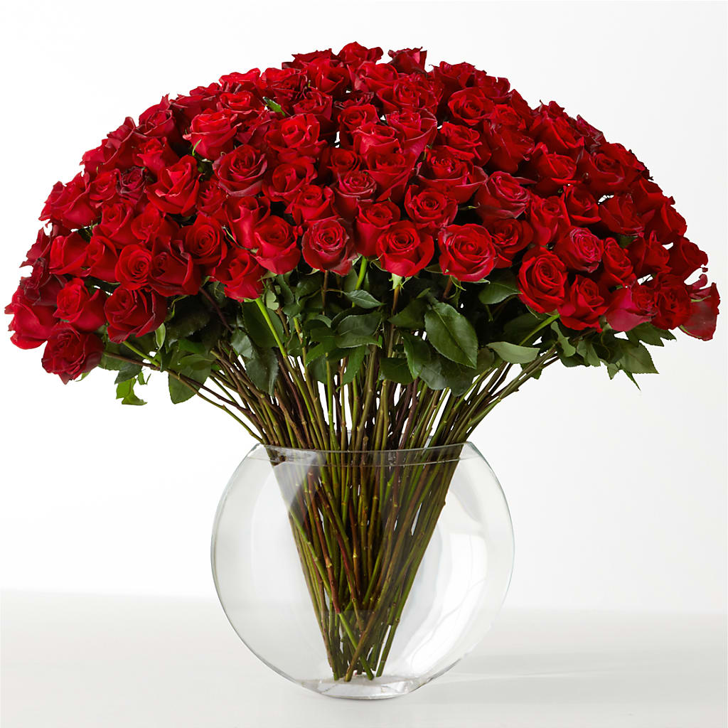 The Idealist – MC SHANES FLORIST & GREENHOUSE INC, Belle Vernon PA