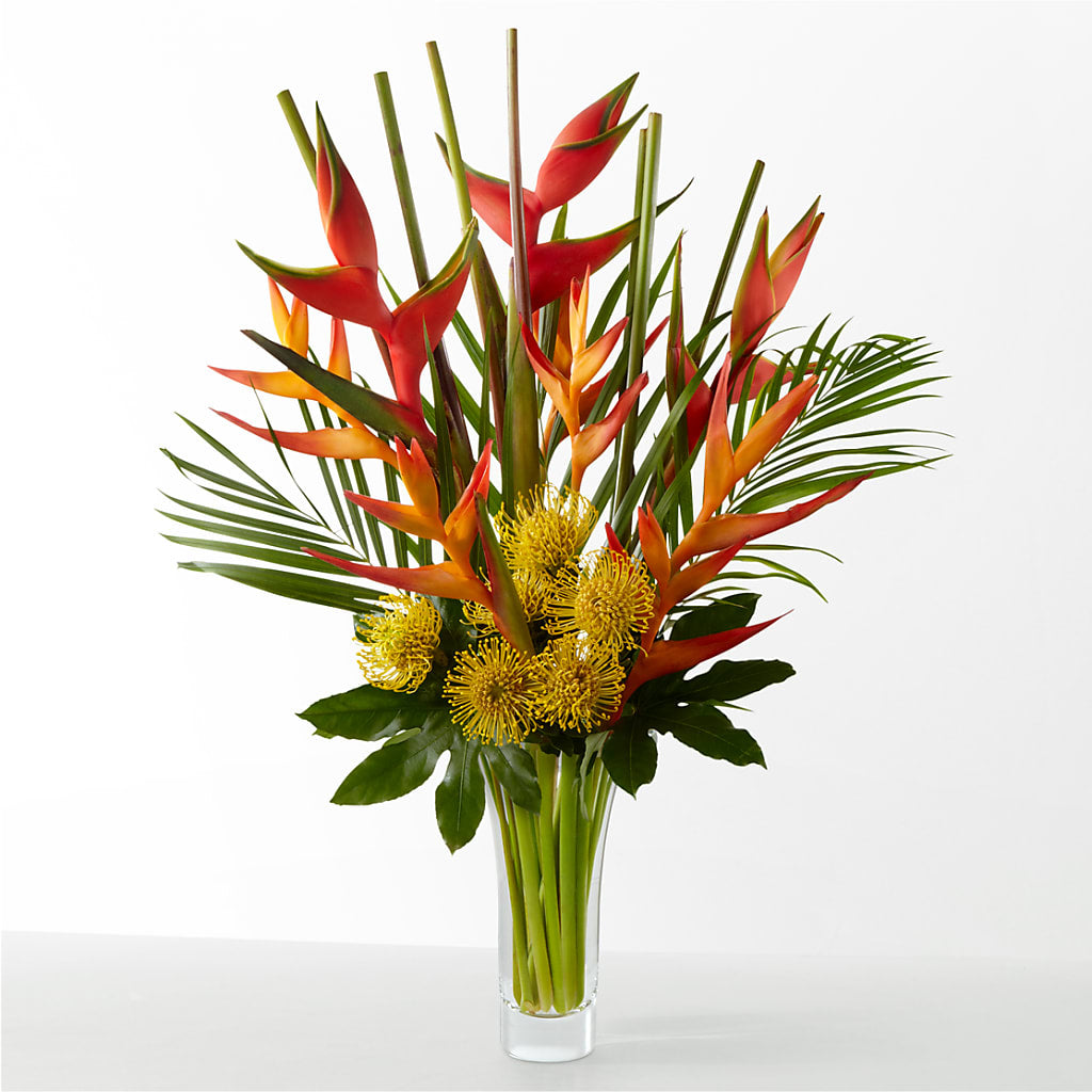 The Drama – MC SHANES FLORIST & GREENHOUSE INC, Belle Vernon PA