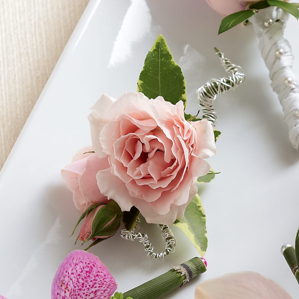 Pink Spray Rose Boutonniere – MC SHANES FLORIST & GREENHOUSE INC, Belle Vernon PA
