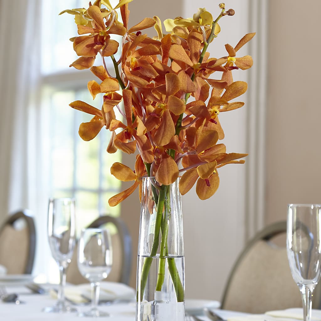 Orange Mokara Bud Vase – MC SHANES FLORIST & GREENHOUSE INC, Belle Vernon PA