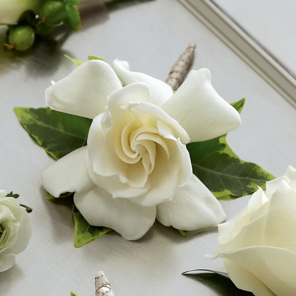Gardenia Boutonniere – MC SHANES FLORIST & GREENHOUSE INC, Belle Vernon PA