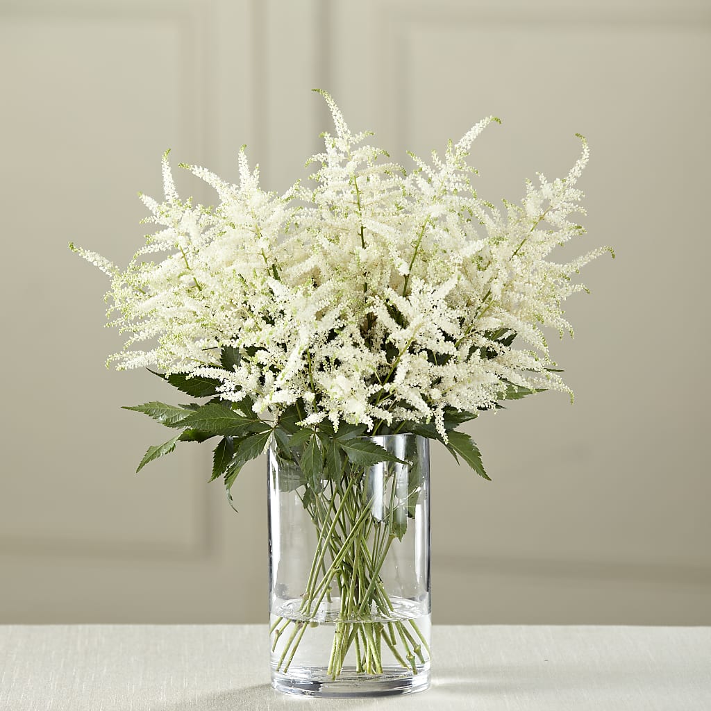 White Astilbe Bouquet – MC SHANES FLORIST & GREENHOUSE INC, Belle Vernon PA