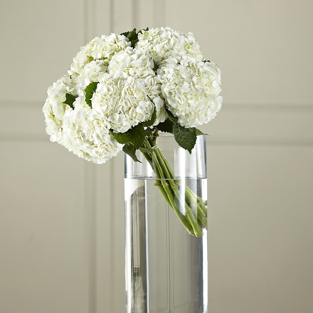 White Hydrangea Hand-Tied Bouquet – MC SHANES FLORIST & GREENHOUSE INC, Belle Vernon PA