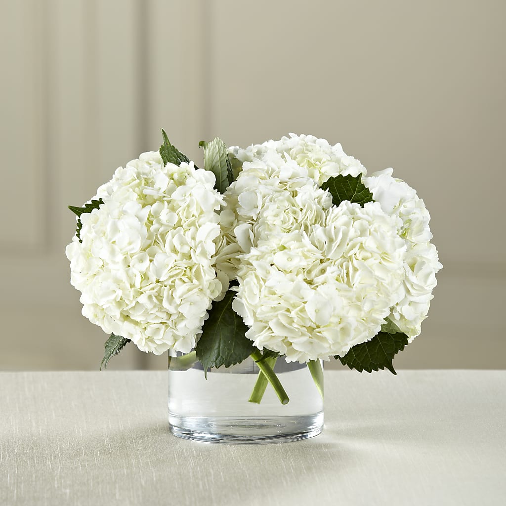White Hydrangea Bouquet – MC SHANES FLORIST & GREENHOUSE INC, Belle Vernon PA