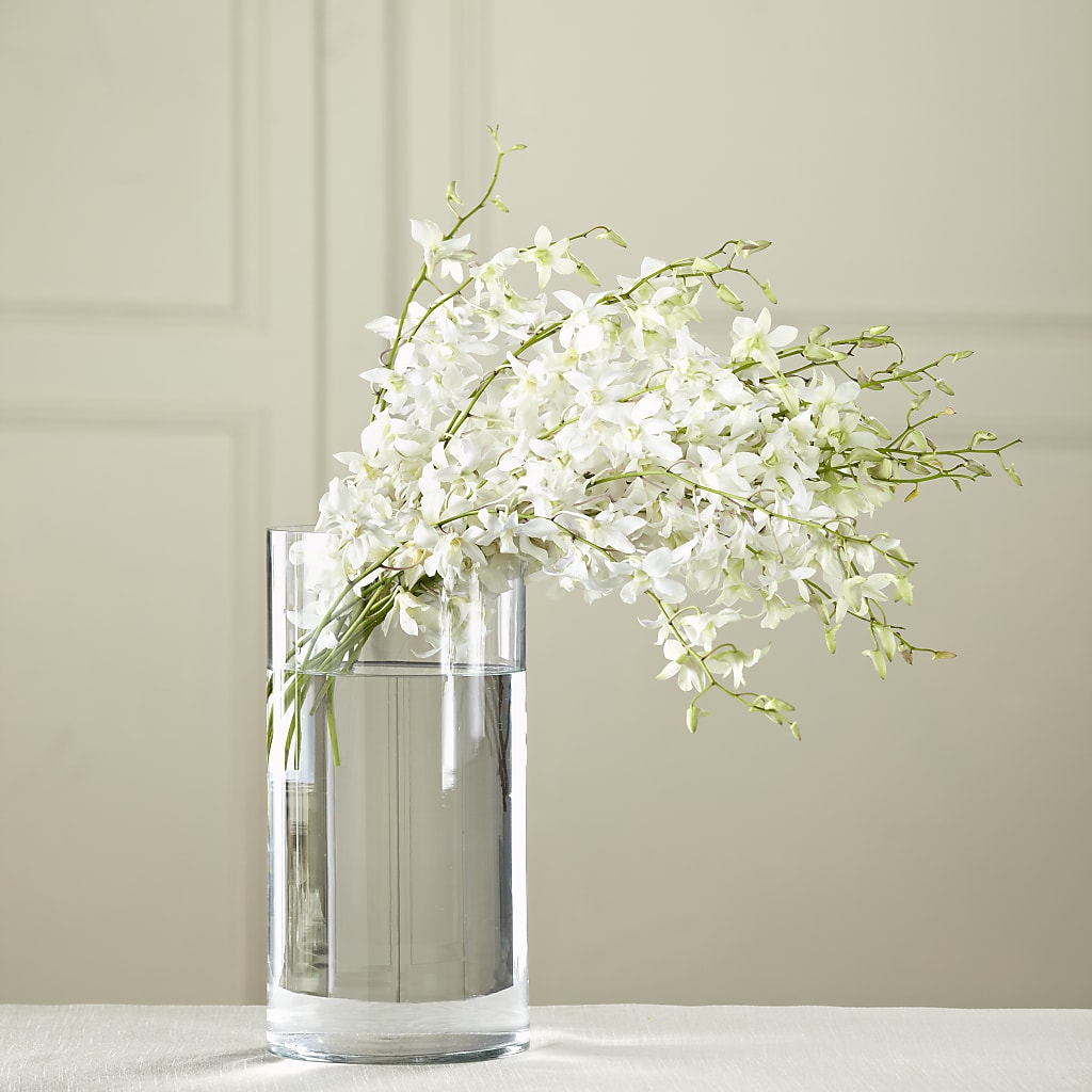 White Dendrobium Bouquet – MC SHANES FLORIST & GREENHOUSE INC, Belle Vernon PA
