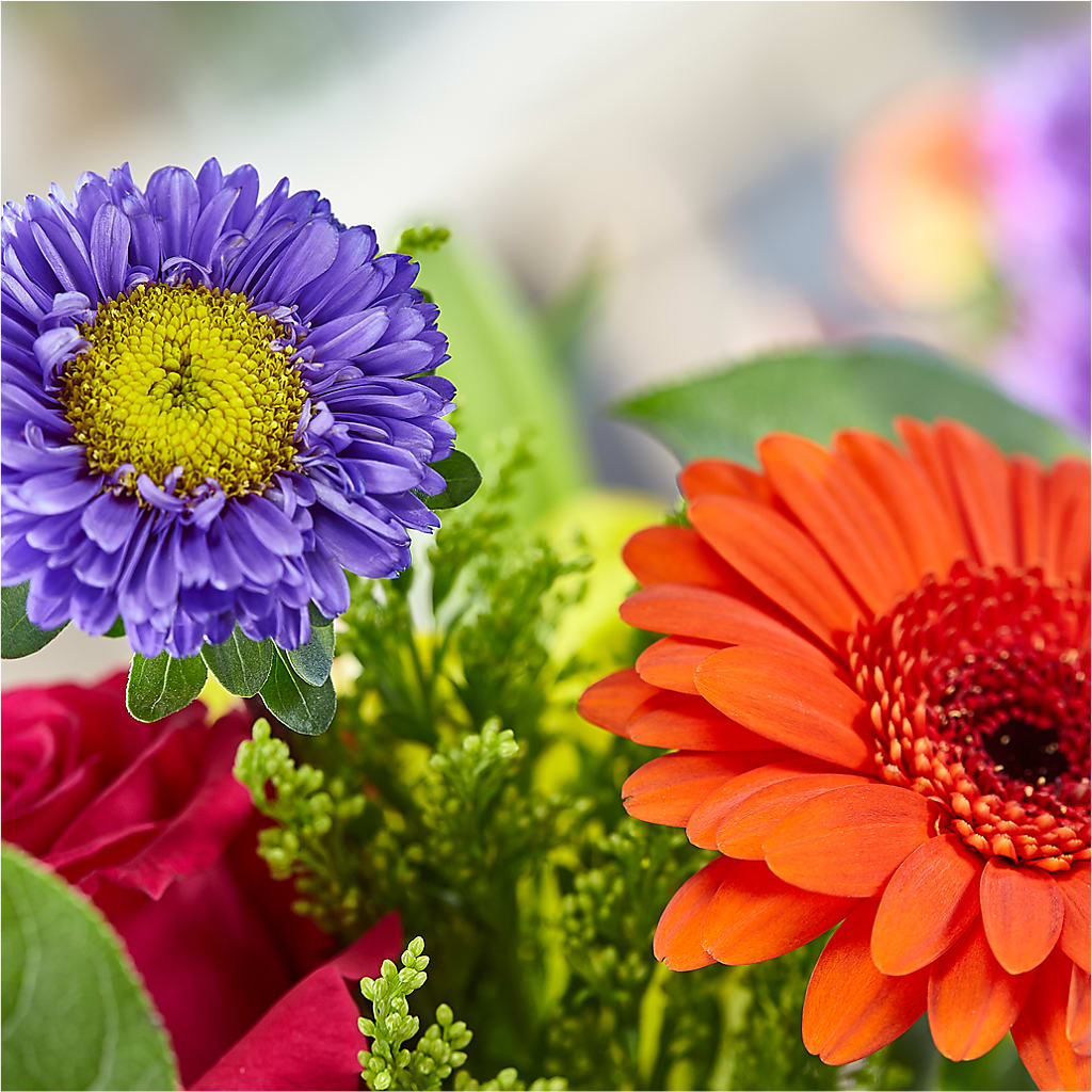 Bold & Bright – A Florist Original – MC SHANES FLORIST & GREENHOUSE INC, Belle Vernon PA