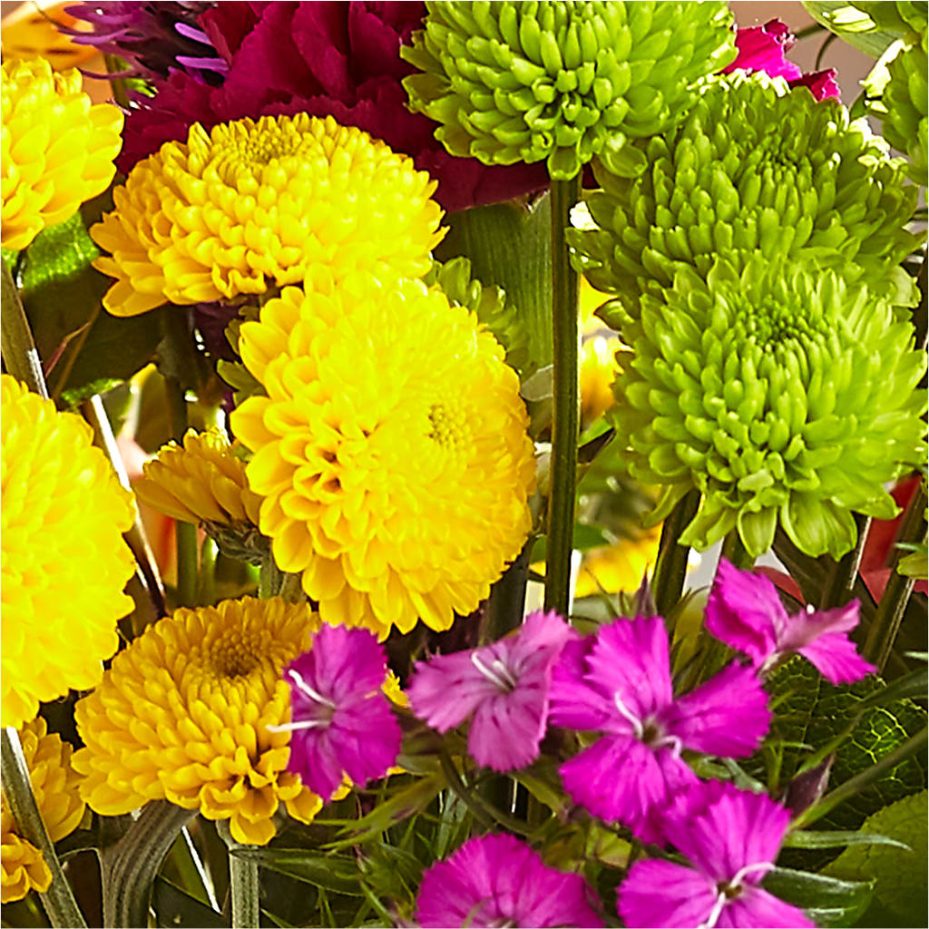 Bold & Bright – A Florist Original – MC SHANES FLORIST & GREENHOUSE INC, Belle Vernon PA
