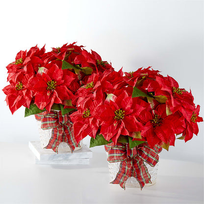 Happiest Holidays Poinsettia Bundle – MC SHANES FLORIST & GREENHOUSE INC, Belle Vernon PA