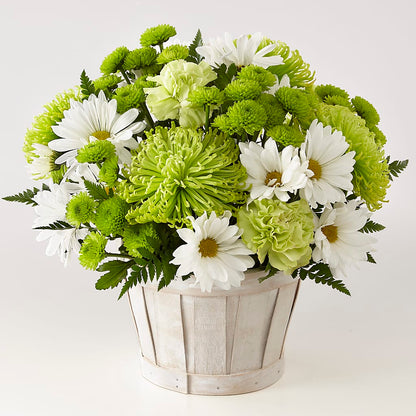 Lucky Charm Basket (Standard) – MC SHANES FLORIST & GREENHOUSE INC, Belle Vernon PA