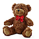 Adorable Plush Bear – MC SHANES FLORIST & GREENHOUSE INC, Belle Vernon PA