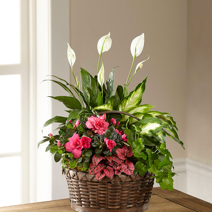 Dream in Pink Dishgarden – MC SHANES FLORIST & GREENHOUSE INC, Belle Vernon PA
