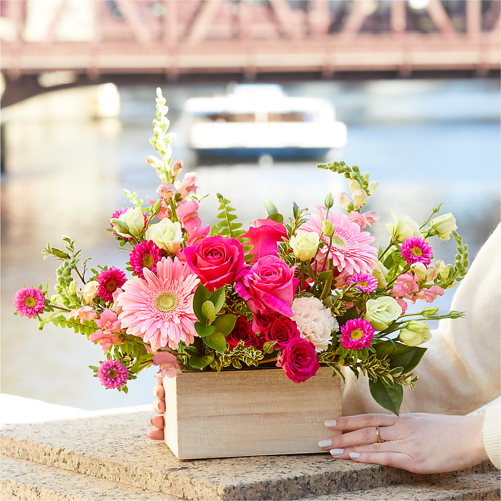 Too Cute Bouquet – MC SHANES FLORIST & GREENHOUSE INC, Belle Vernon PA