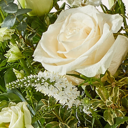 Cashmere Bouquet – MC SHANES FLORIST & GREENHOUSE INC, Belle Vernon PA