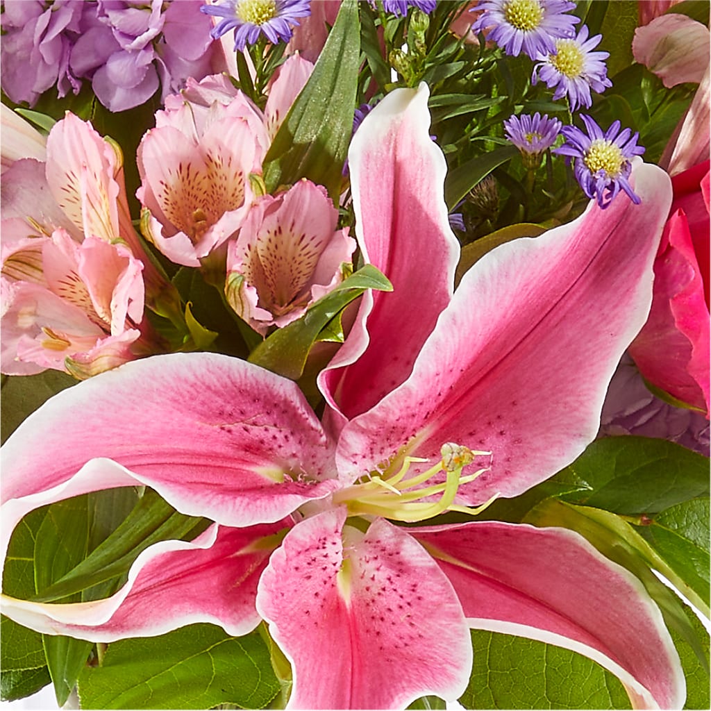 Written in the Stars Bouquet – MC SHANES FLORIST & GREENHOUSE INC, Belle Vernon PA