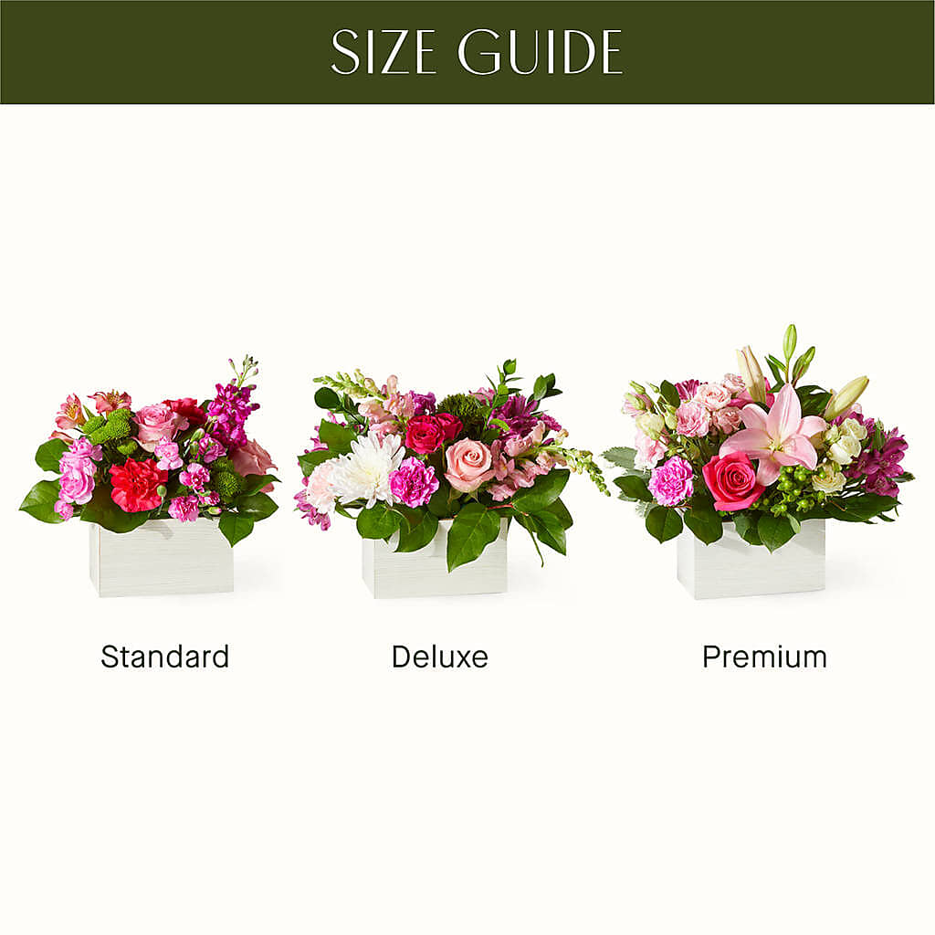 Sweetberry Box – A Florist Original – MC SHANES FLORIST & GREENHOUSE INC, Belle Vernon PA