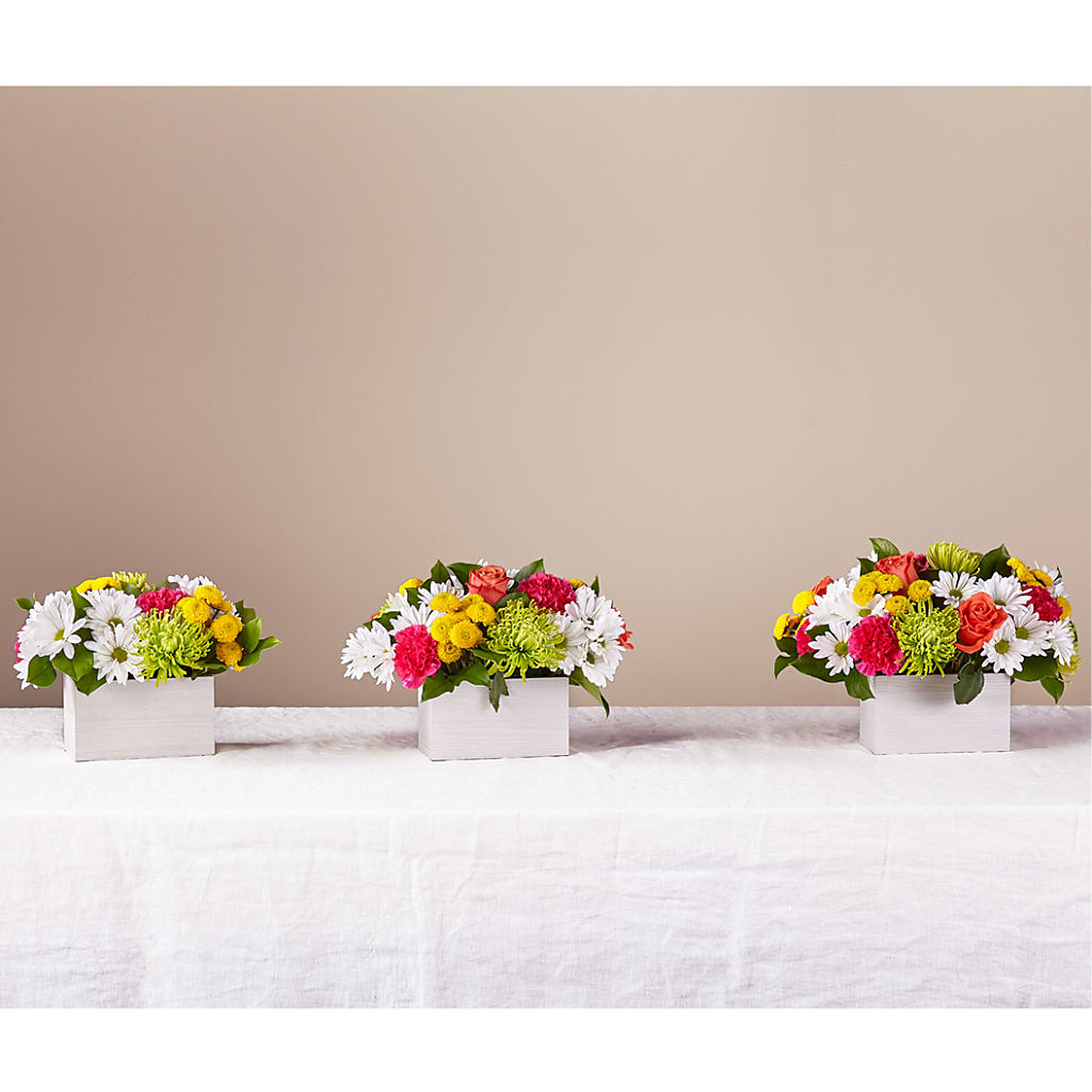 Sorbet Bouquet – MC SHANES FLORIST & GREENHOUSE INC, Belle Vernon PA