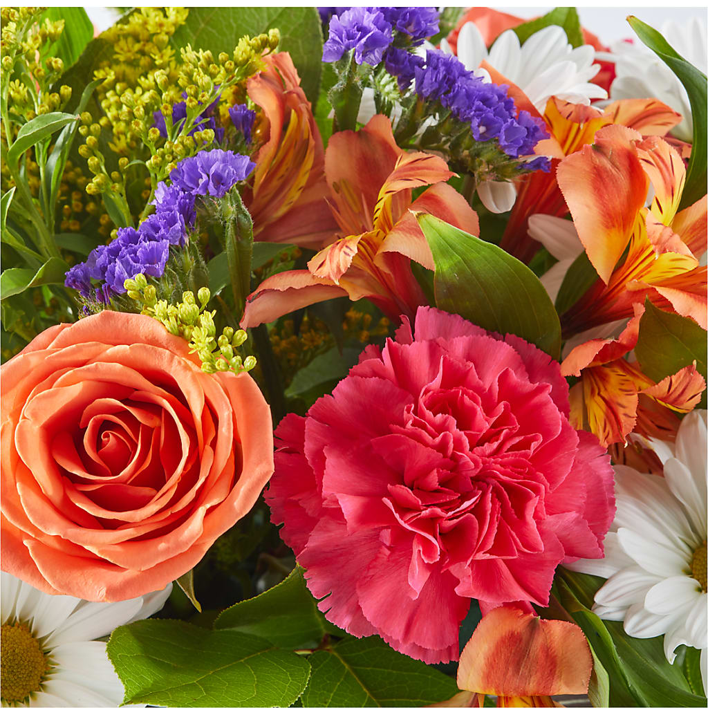 Oopsie Daisy Box Bouquet – MC SHANES FLORIST & GREENHOUSE INC, Belle Vernon PA