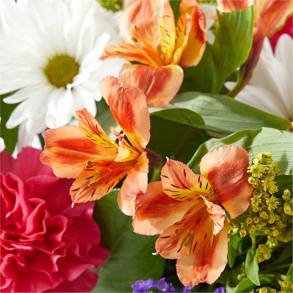 Oopsie Daisy Box Bouquet – MC SHANES FLORIST & GREENHOUSE INC, Belle Vernon PA