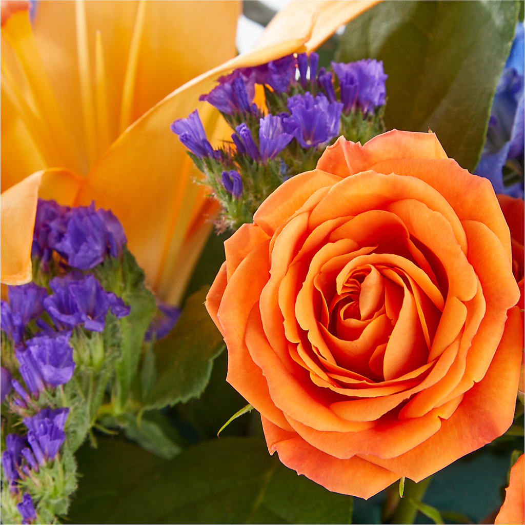 Radiant Citrus Box Bouquet – MC SHANES FLORIST & GREENHOUSE INC, Belle Vernon PA