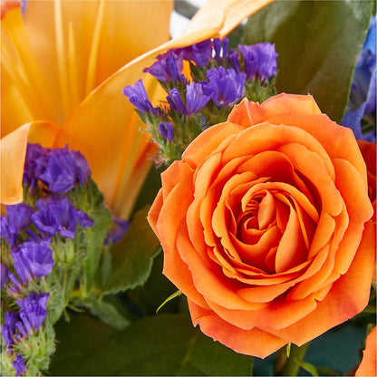 Radiant Citrus Box Bouquet – MC SHANES FLORIST & GREENHOUSE INC, Belle Vernon PA