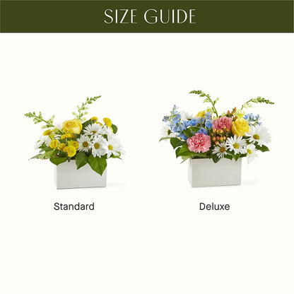 Sun Salutation Box Bouquet – MC SHANES FLORIST & GREENHOUSE INC, Belle Vernon PA