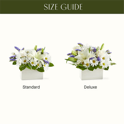 Beyond Blue Box Bouquet – MC SHANES FLORIST & GREENHOUSE INC, Belle Vernon PA