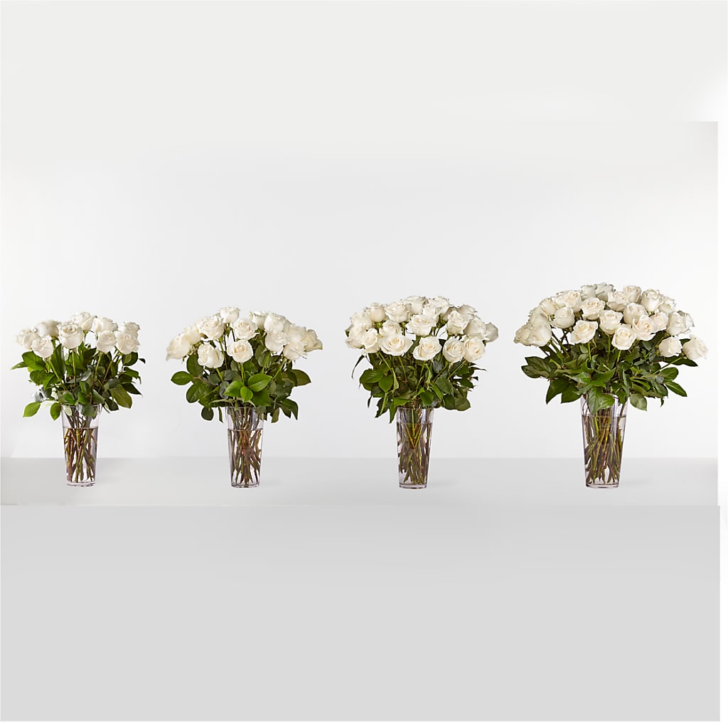 Long Stem White Rose Bouquet – MC SHANES FLORIST & GREENHOUSE INC, Belle Vernon PA