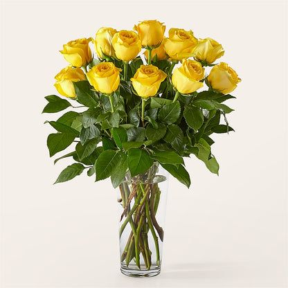 Long Stem Yellow Rose Bouquet – MC SHANES FLORIST & GREENHOUSE INC, Belle Vernon PA