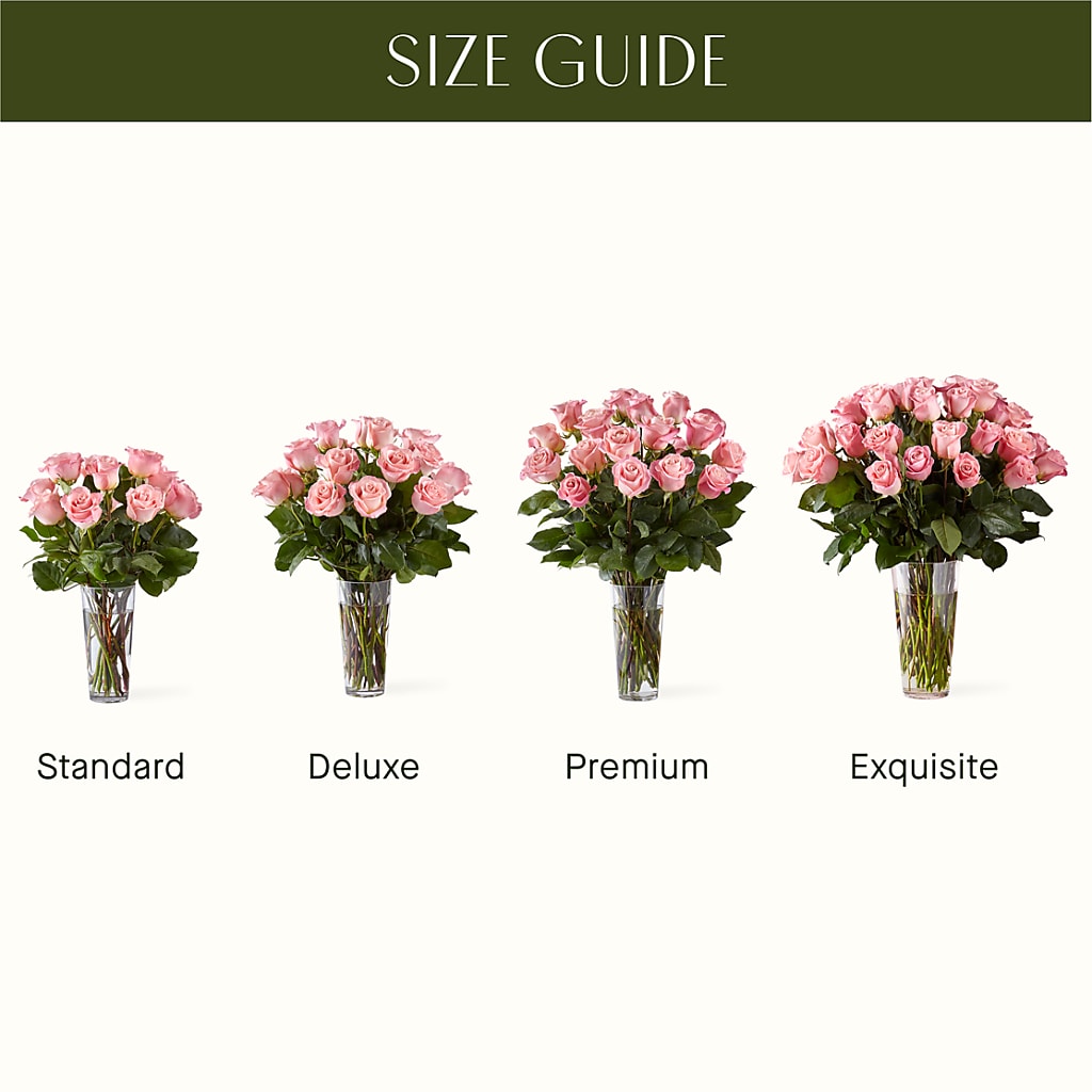 Long Stem Pink Rose Bouquet – MC SHANES FLORIST & GREENHOUSE INC, Belle Vernon PA