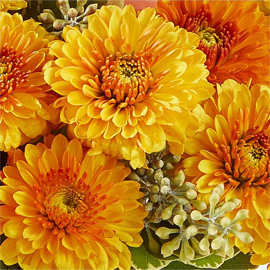 Peachy Pumpkin – MC SHANES FLORIST & GREENHOUSE INC, Belle Vernon PA