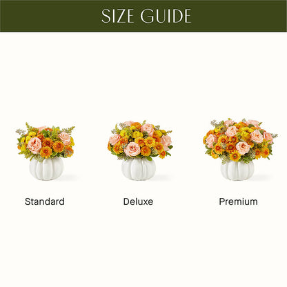 Peachy Pumpkin – MC SHANES FLORIST & GREENHOUSE INC, Belle Vernon PA