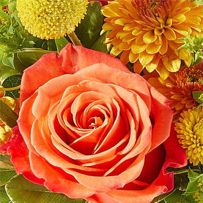 Gourdgeous Pumpkin – MC SHANES FLORIST & GREENHOUSE INC, Belle Vernon PA