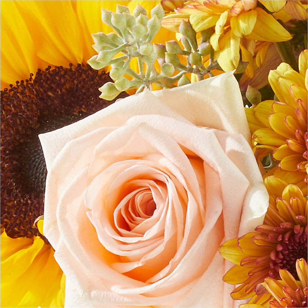 Pumpkin to Talk About Bouquet – MC SHANES FLORIST & GREENHOUSE INC, Belle Vernon PA